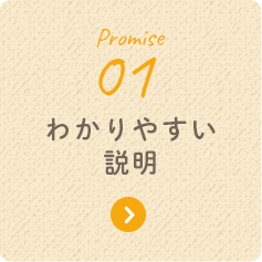 Promise 01 わかりやすい説明